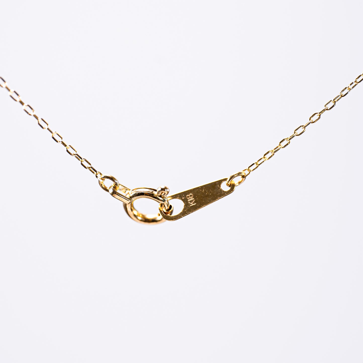Y-Shaped Necklace